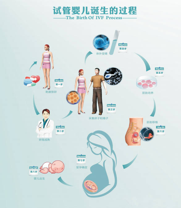 试管婴儿技术